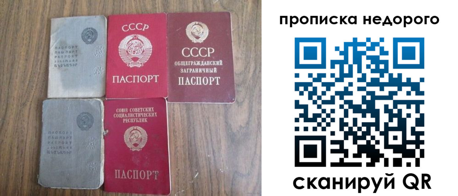 временная регистрация поиск в Ельне