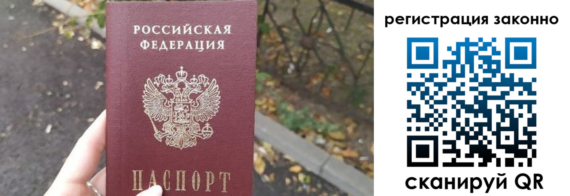 регистрация в Ельне